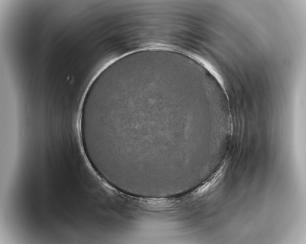 X0000096711007200802051417