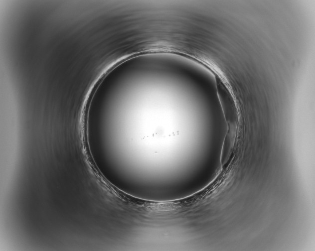 X0000096711008200802051417