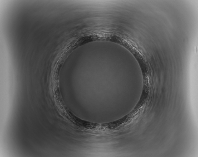 X0000096711009200802051416