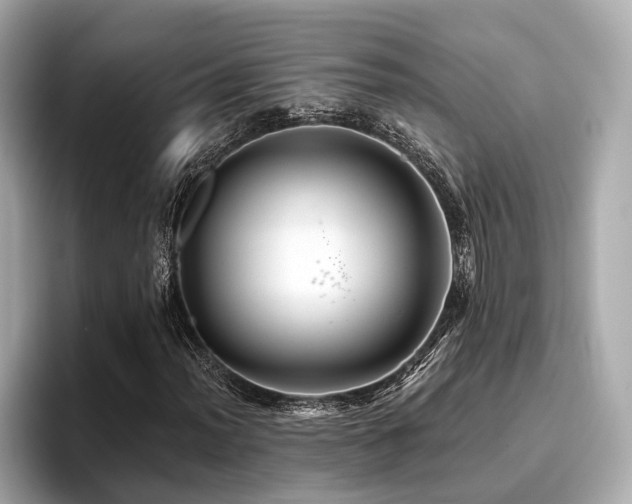 X0000096711012200802051416