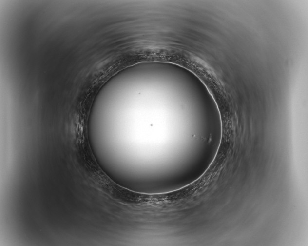 X0000096711013200802051416