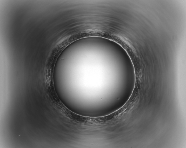 X0000096711015200802051416