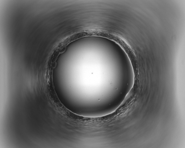 X0000096711016200802051416