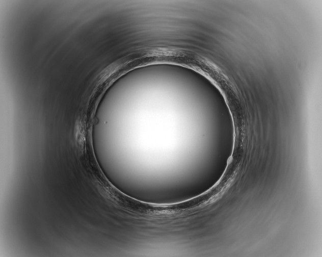 X0000096711017200802051416