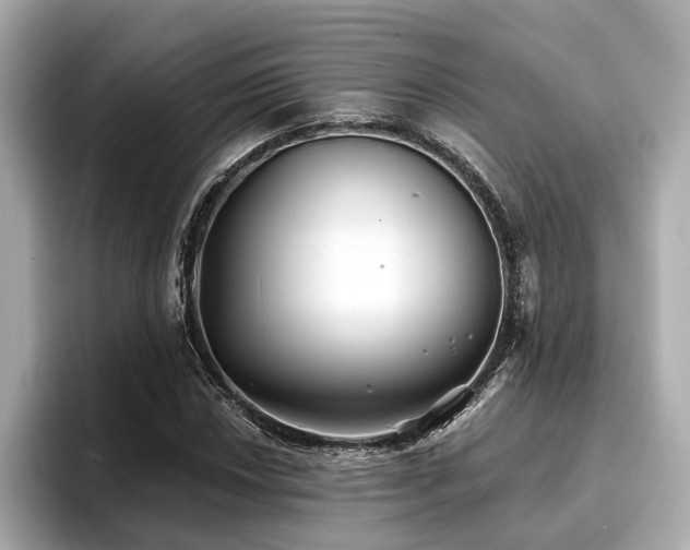 X0000096711018200802051416