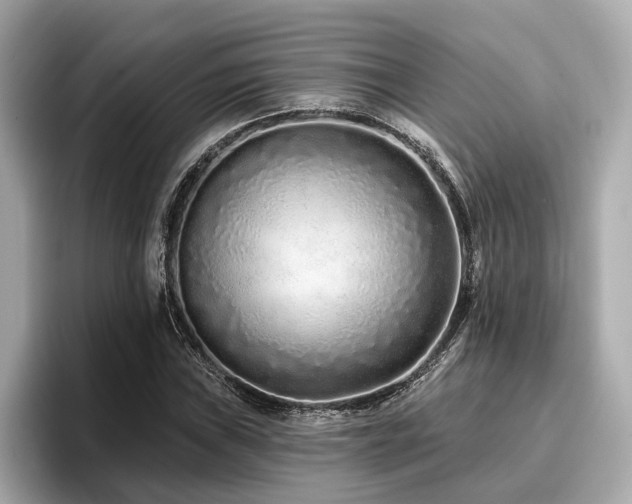 X0000096711019200802051416