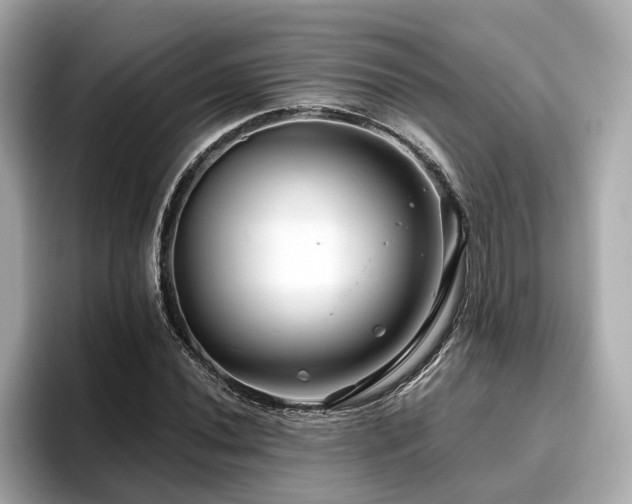 X0000096711020200802051416