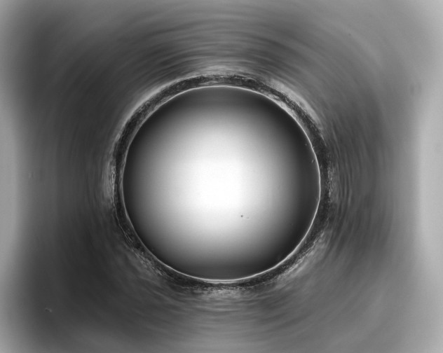 X0000096711021200802051416