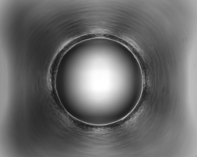 X0000096711022200802051416