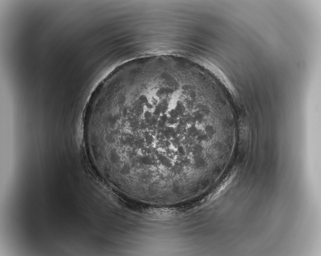 X0000096711023200802051416