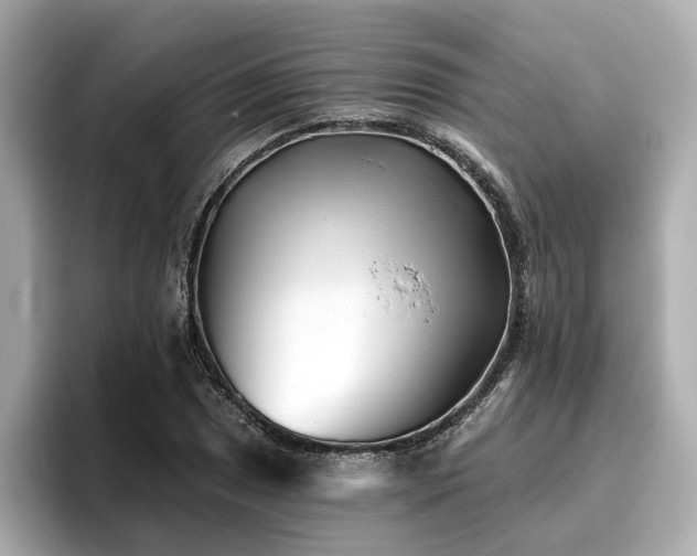 X0000096711025200802051416