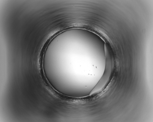 X0000096711026200802051416