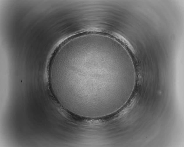 X0000096711027200802051416