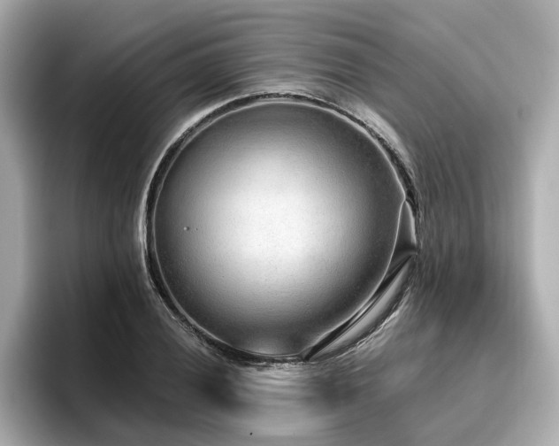 X0000096711028200802051416