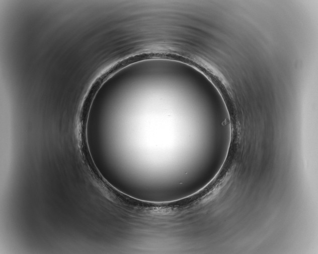 X0000096711029200802051416