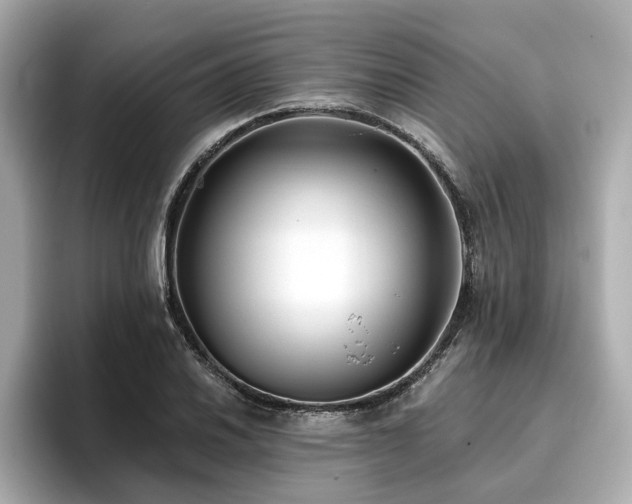 X0000096711030200802051416