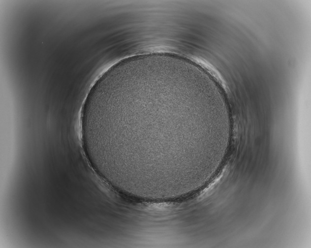 X0000096711031200802051416