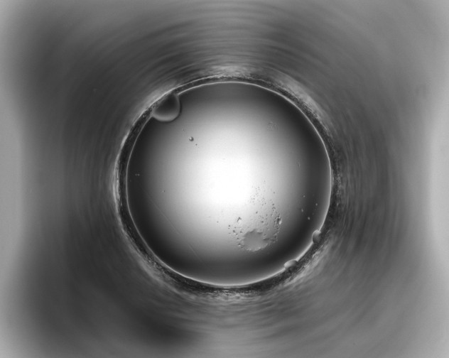 X0000096711034200802051416