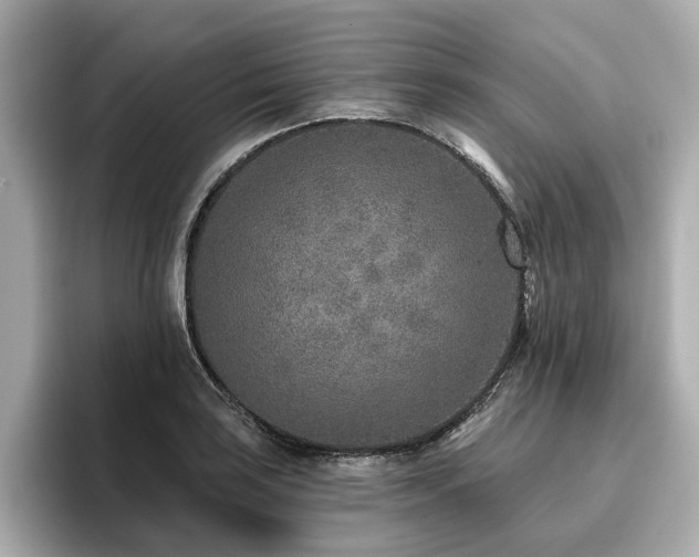 X0000096711035200802051417