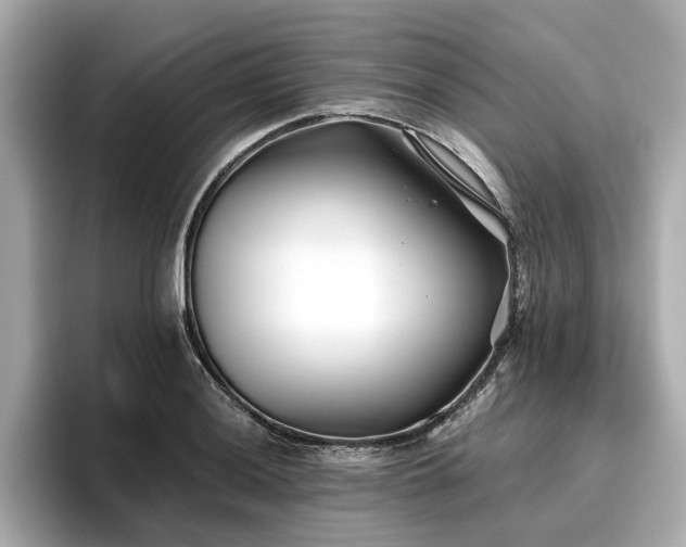 X0000096711036200802051417