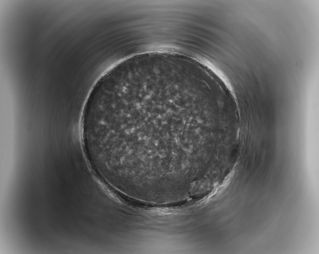 X0000096711037200802051417