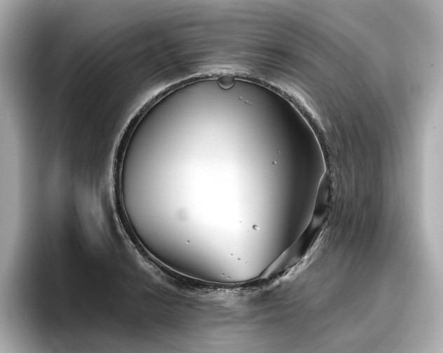 X0000096711038200802051417