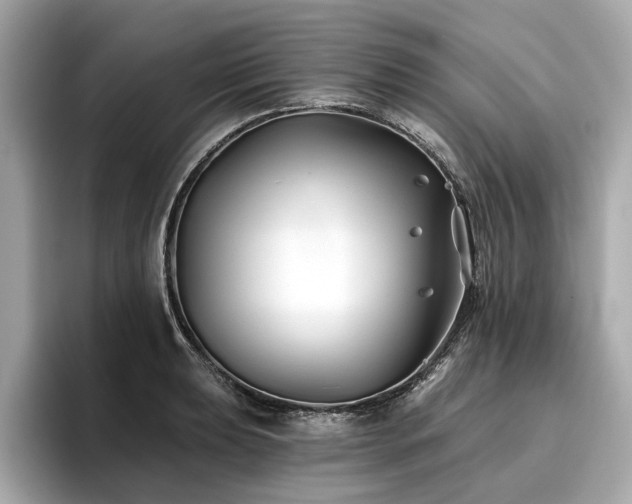 X0000096711039200802051417