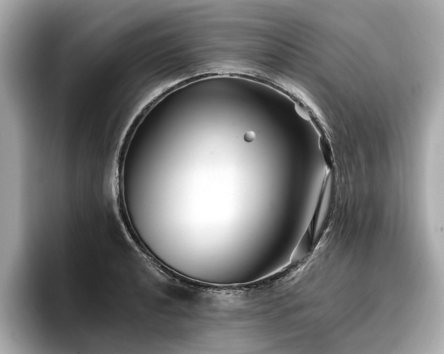 X0000096711040200802051417