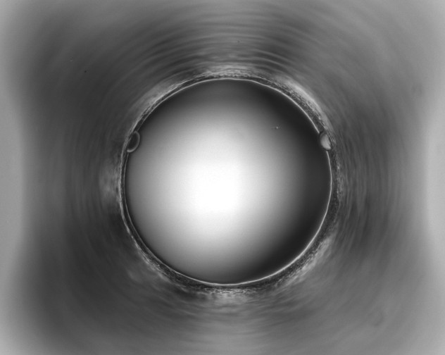 X0000096711041200802051417