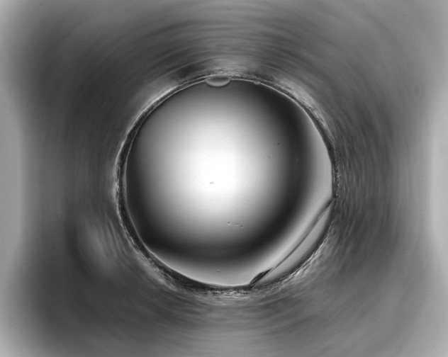 X0000096711042200802051417