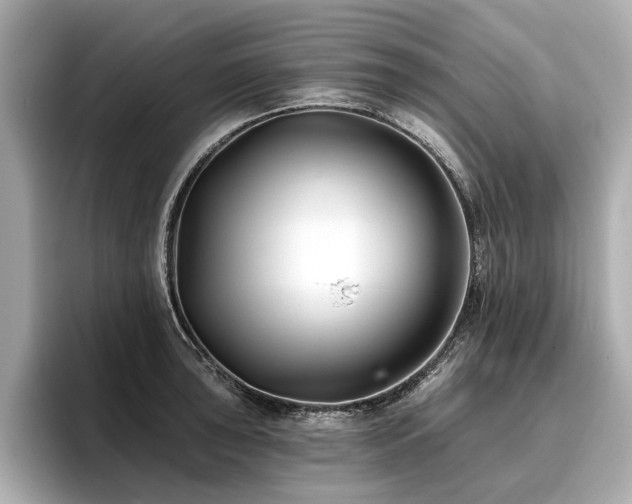 X0000096711043200802051417