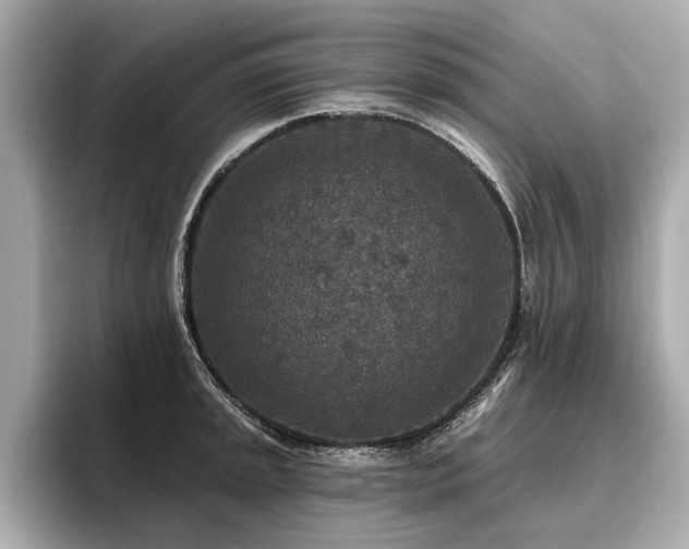 X0000096711045200802051417