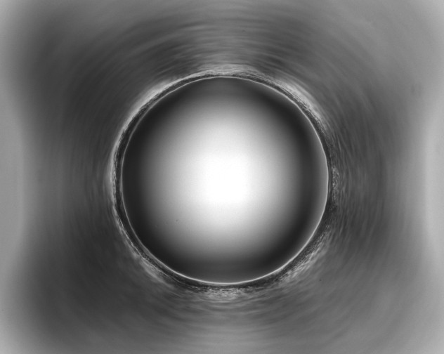 X0000096711046200802051417