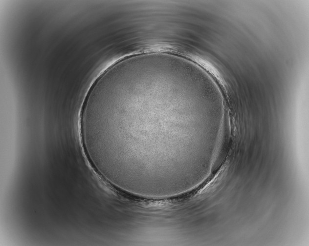 X0000096711047200802051417