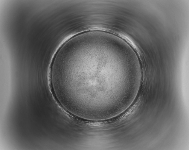 X0000096711048200802051417