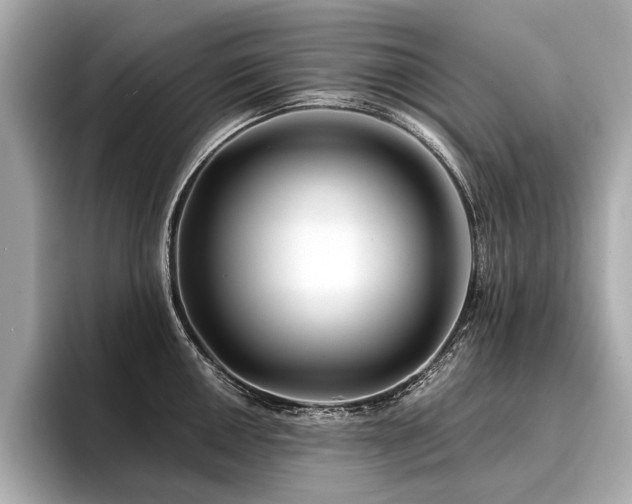 X0000096711050200802051417