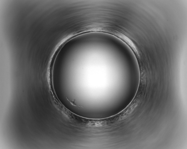 X0000096711051200802051417