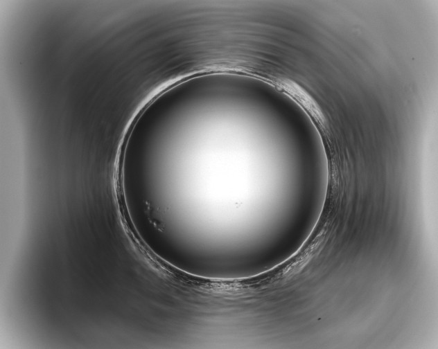 X0000096711052200802051417