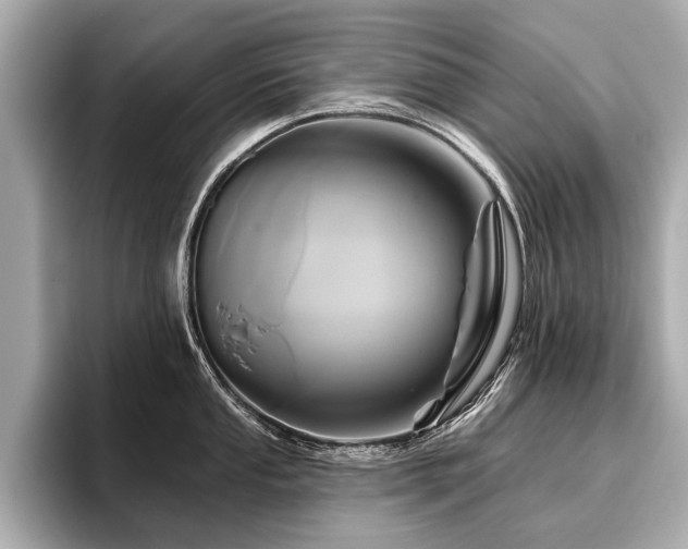 X0000096711053200802051417