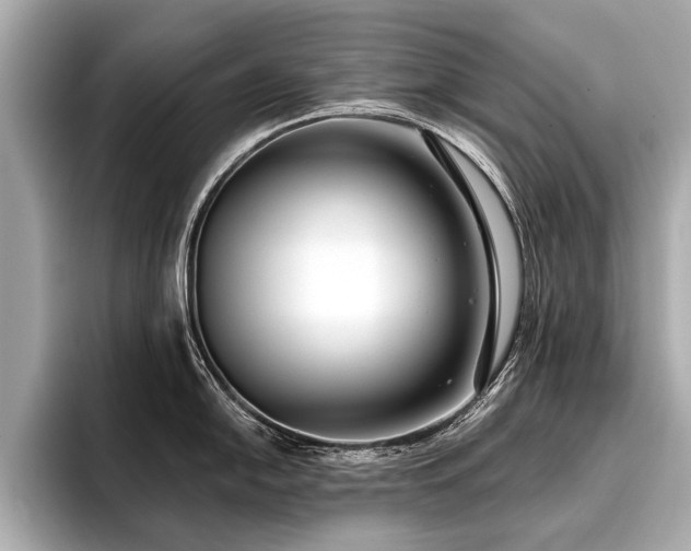 X0000096711054200802051417