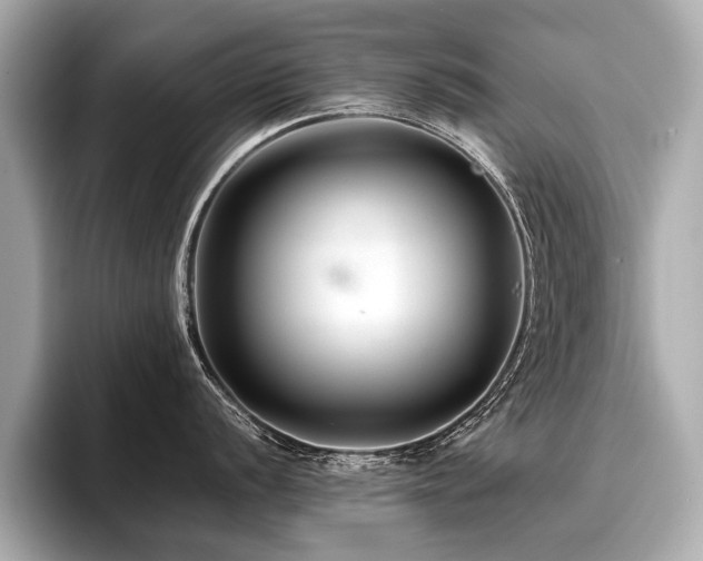 X0000096711056200802051417