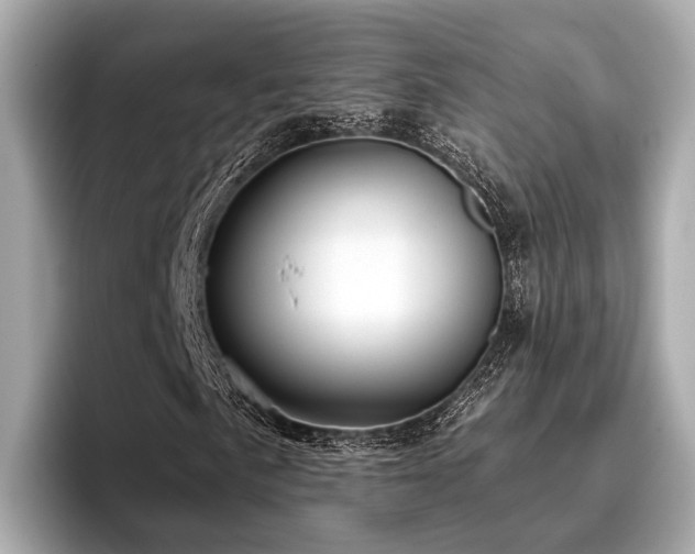 X0000096711057200802051416