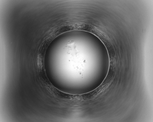 X0000096711058200802051416