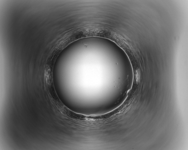 X0000096711059200802051416