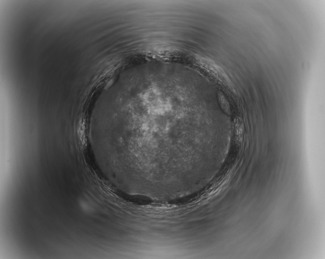 X0000096711060200802051416