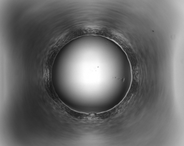 X0000096711061200802051416