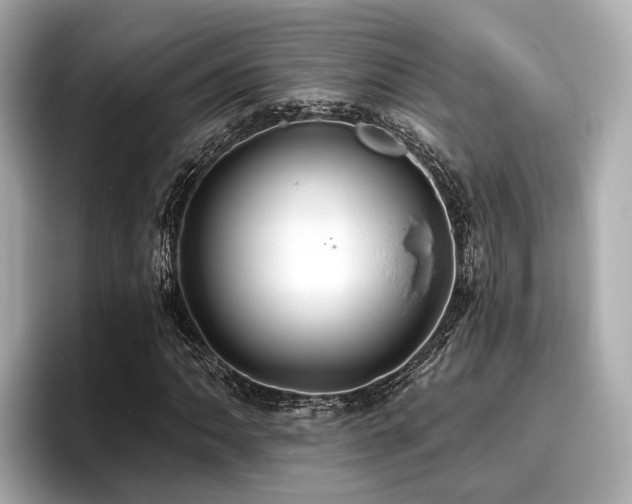 X0000096711062200802051416