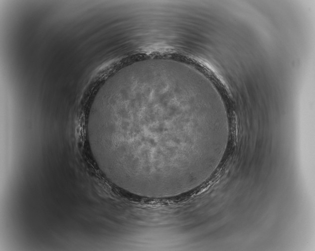 X0000096711063200802051416