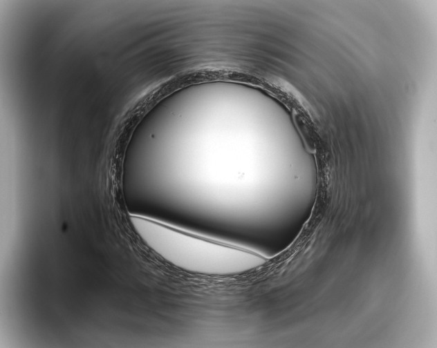 X0000096711064200802051416