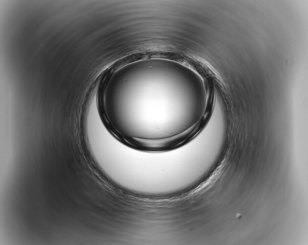 X0000096711065200802051416